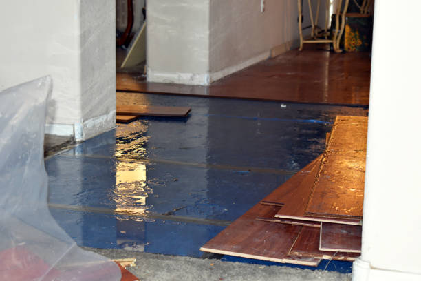 Professional Burst Pipe Cleanup technician working in Lyndhurst, VA