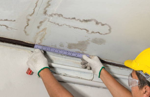Reliable Burst Pipe Cleanup contractor in Lyndhurst, VA by Water Damage Irwin